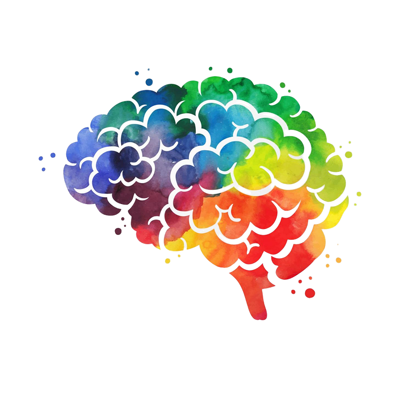 Illustrazione di un cervello colorato di diversi colori per l'articolo dedicato alla psicologia dei colori nel web design